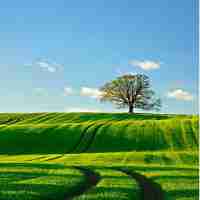 关﻿键​词‍怎‌么​讲﻿